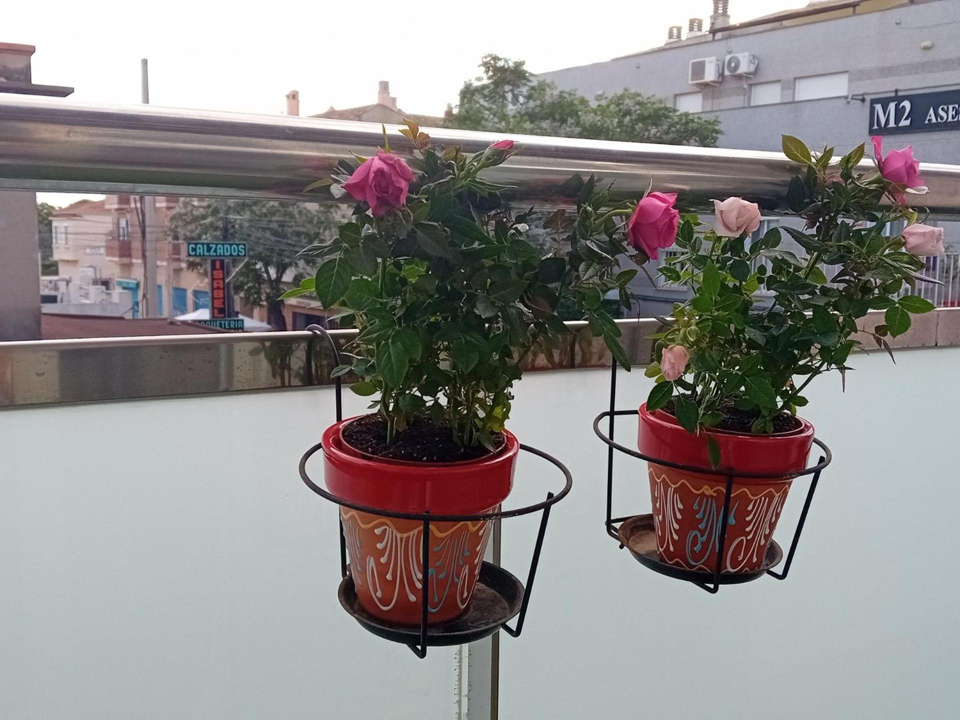 El Estudio De Las Mariposas,Sofa Cama , Cocina Y Bano Partida de La Cañada 外观 照片